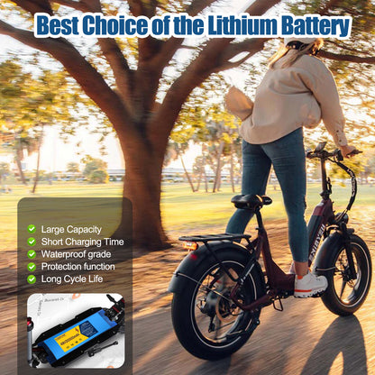 48V20AH  Lithium Battery for E-bikes