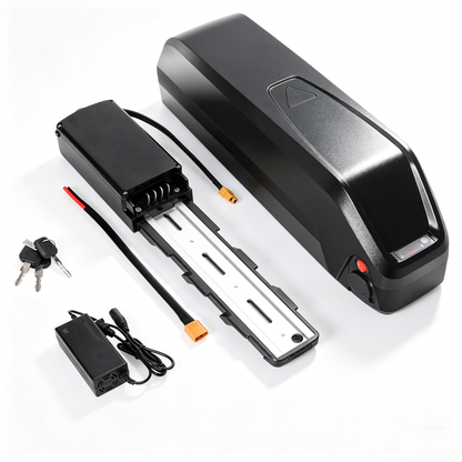 48V 20Ah Electric Bike Lithium Battery Pack with 30A BMS