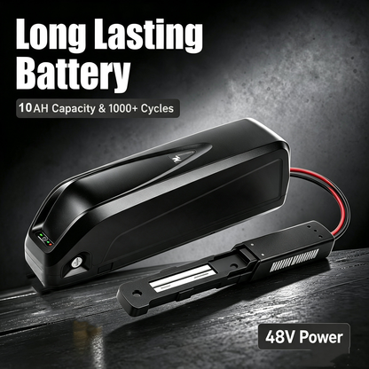 48V 13Ah Hailong Ebike Battery