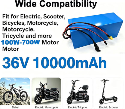 36V10AH Lithium Battery