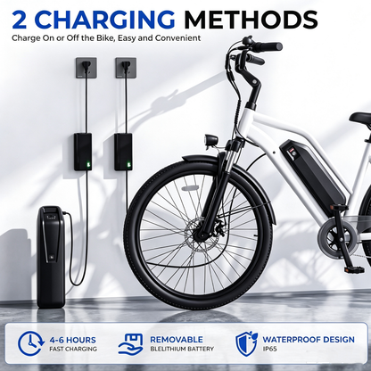 48V20Ah E-bike Battery for 200W-1000W Motors